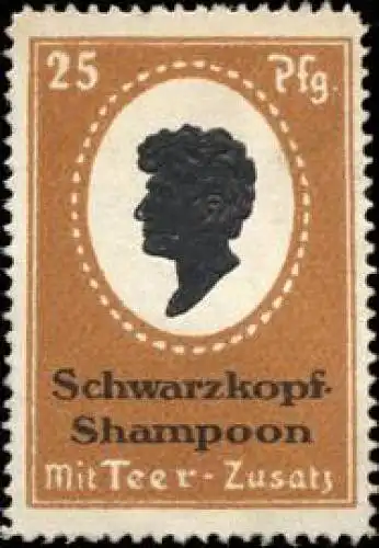 Schwarzkopf-Shampoon fÃ¼r den Friseur