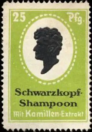 Schwarzkopf-Shampoon HaarwÃ¤sche fÃ¼r den Friseur