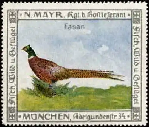 GeflÃ¼gel - Fasan