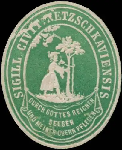 Sigill Civitatis Netzschkaviensis - Netzschkau