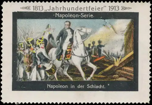 Napoleon in der Schlacht