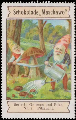 Schokolade Maschawo