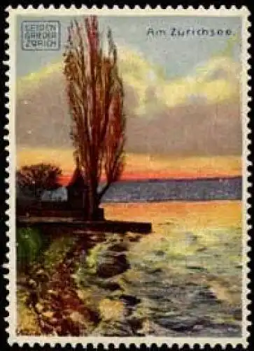 Am ZÃ¼richsee