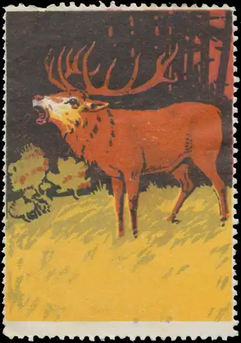 Hirsch