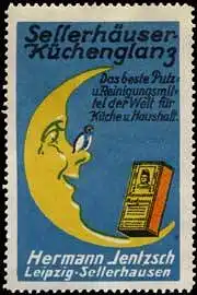 SellerhÃ¤user KÃ¼chenglanz