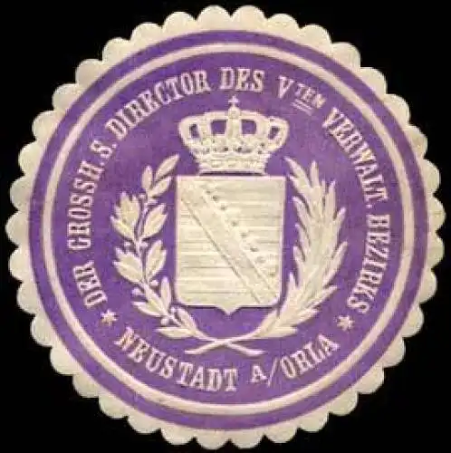 Der Grossherzoglich SÃ¤chsische Director des Vten Verwaltungsbezirks - Neustadt an der Orla