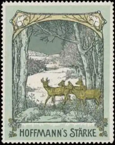 Hoffmanns StÃ¤rke mit der Katze