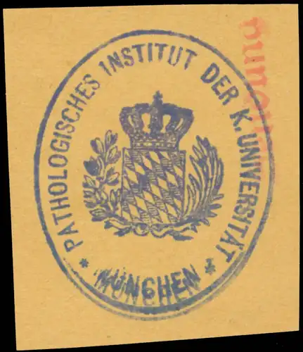 Pathologisches Institut der K. UniversitÃ¤t MÃ¼nchen