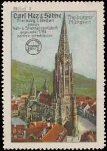 Freiburger MÃ¼nster