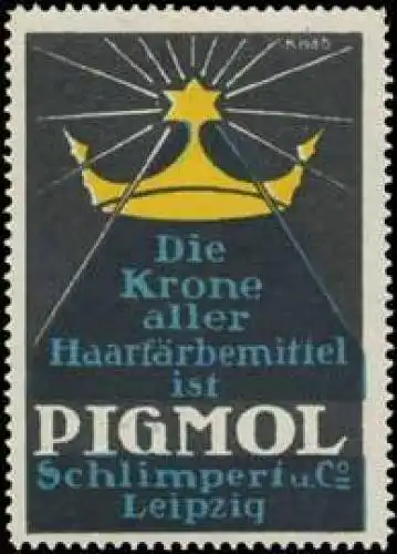 Pigmol fÃ¼r den Friseur