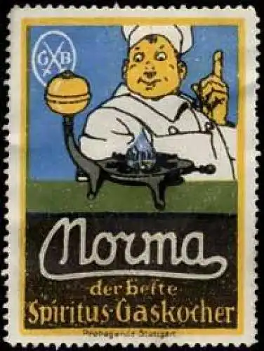Norma Spiritus-Gaskocher für den Koch