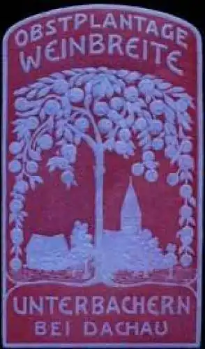 Obstplantage Weinbreite