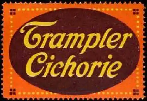 Trampler Cichorie