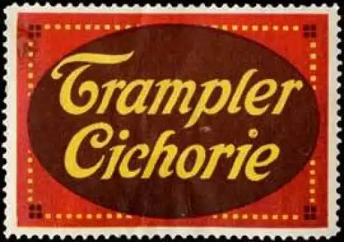 Trampler Cichorie