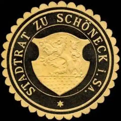 Stadtrat zu SchÃ¶neck in Sachsen