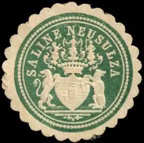 Saline Neusulza