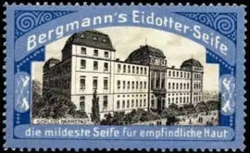 Schloss Darmstadt