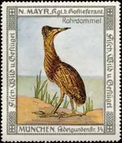 Rohrdommel