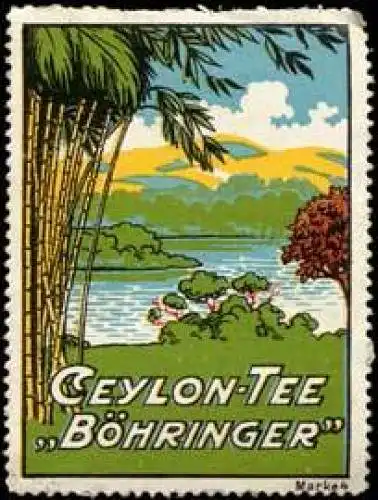 Ceylon-Tee