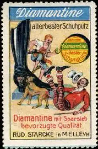 Hund & Stiefel - Diamantine allerbester Schuhputz