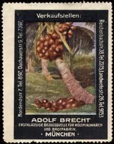 Erstklassige Bezugsquelle fÃ¼r Kolonialwaren und Brotfabrik