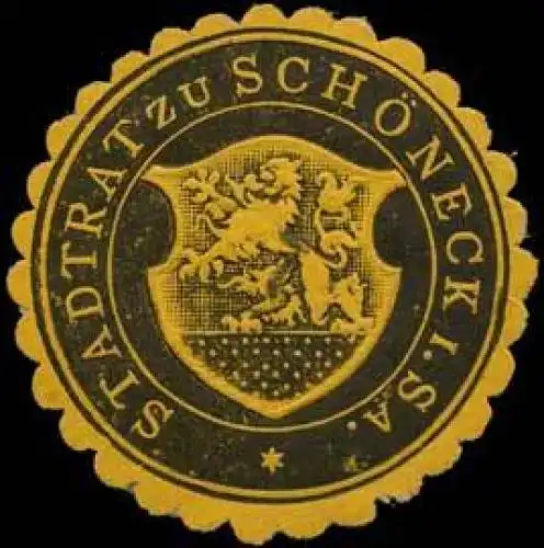 Stadtrat zu Schöneck in Sachsen