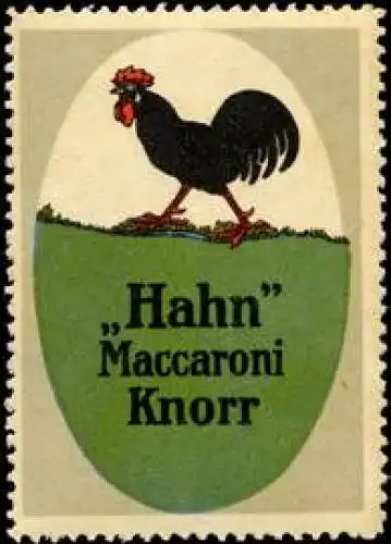Hahn Makkaroni Knorr Nudeln
