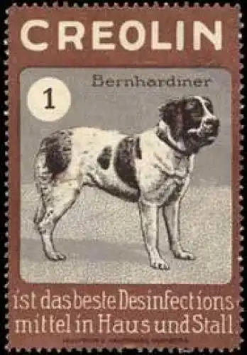 Bernhardiner