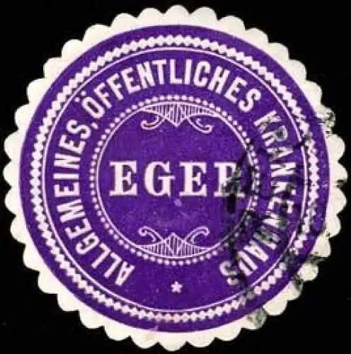 Allgemeines öffentliches Krankenhaus Eger