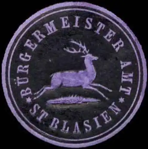 BÃ¼rgermeister Amt St. Blasien
