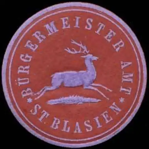 BÃ¼rgermeister Amt St. Blasien