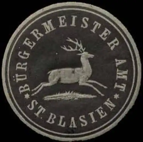 BÃ¼rgermeister Amt St. Blasien
