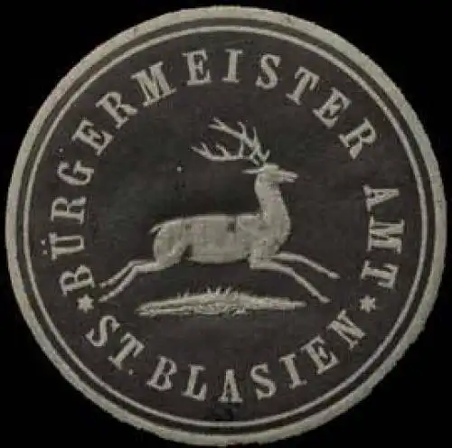 Bürgermeister Amt St. Blasien