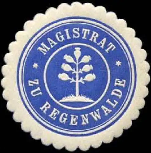 Magistrat zu Regenwalde/Pommern
