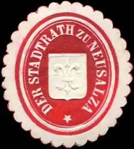 Der Stadtrath zu Neusalza