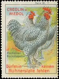 Mechelner Kuckucksperber - Creolin & Medol