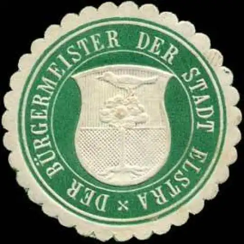 Der Bürgermeister der Stadt Elstra