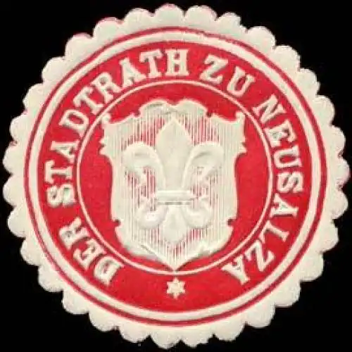 Der Stadtrath zu Neusalza