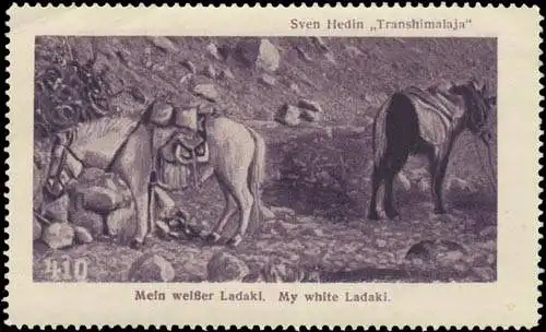 Mein weiÃer Ladaki