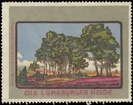 Die LÃ¼neburger Heide