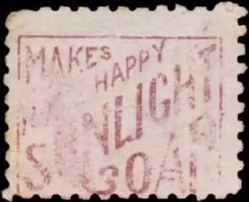 Sunligh Soap