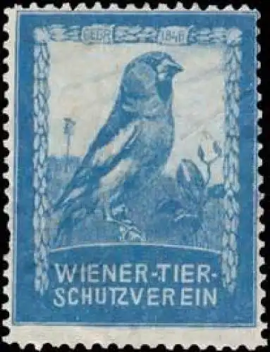Wiener-Tierschutzverein