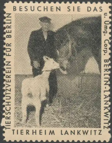 Tierheim Lankwitz