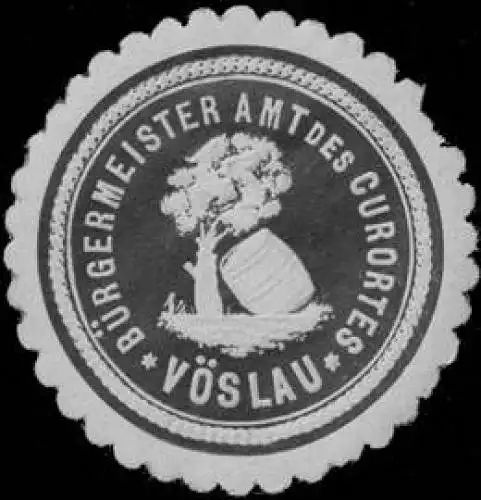 BÃ¼rgermeister Amt des Curortes VÃ¶slau