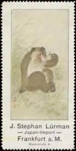 Japan-Import