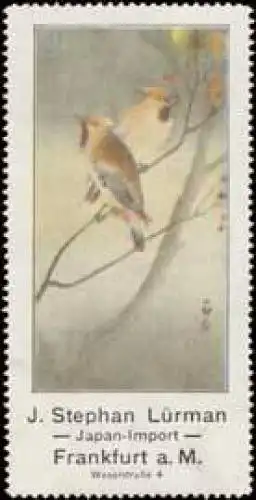 Japan-Import