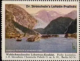 Lofotin-Pralines - Norwegen