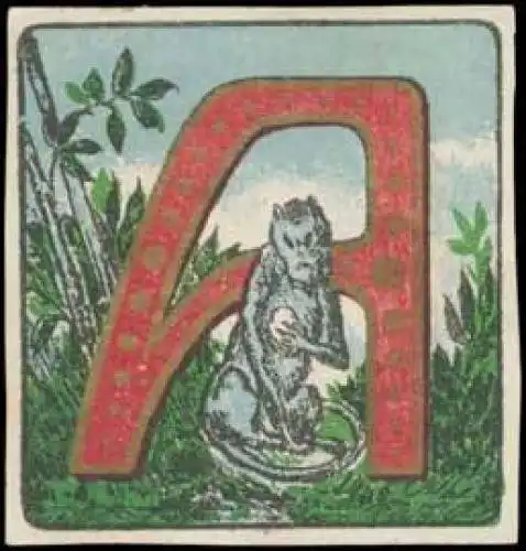 Affe