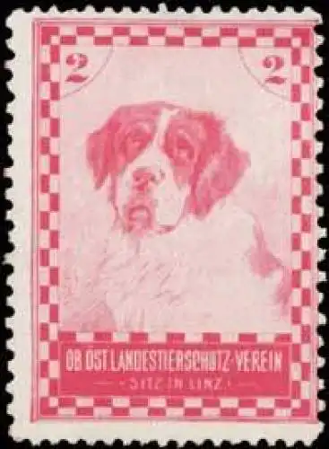 Bernhardiner