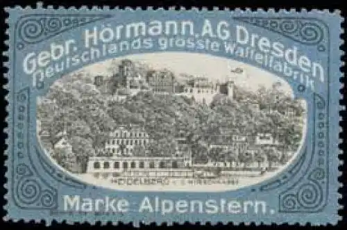 Schloss Heidelberg